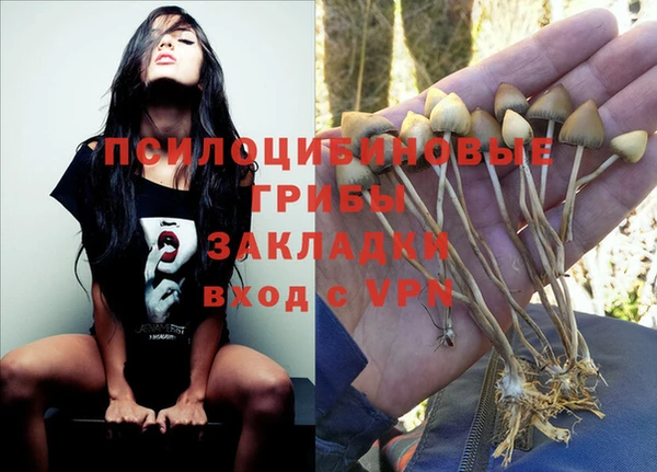 прущая мука Балахна